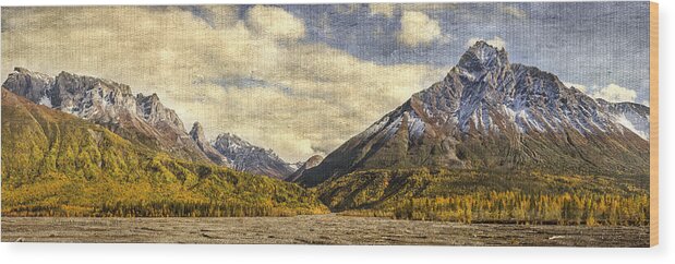 Mountains Wood Print featuring the photograph Dan Creek Alaska by Fred Denner