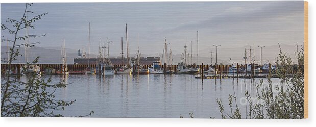 Ships Wood Print featuring the photograph All Ships Big and Small by Chuck Flewelling