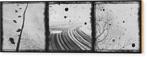 Art Wood Print featuring the photograph an English winter - number II by Dorit Fuhg