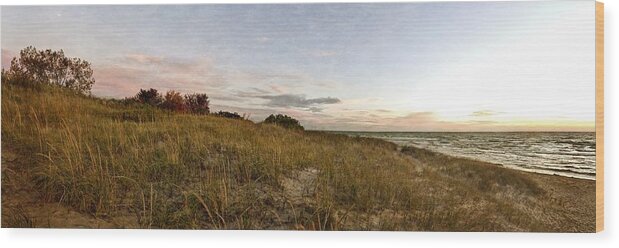 Michigan Wood Print featuring the photograph Autumn in the Dunes by Michelle Calkins