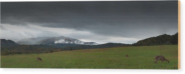 Autum Wood Print featuring the photograph Cades Cove by Jonas Wingfield