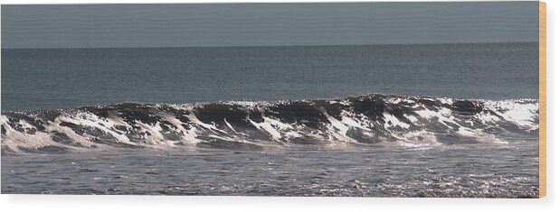  Water . Waves Wood Print featuring the photograph Coronado Beach 5 by Douglas Pike