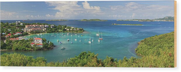 Caribbean Wood Print featuring the photograph Cruz Bay by Gary Felton