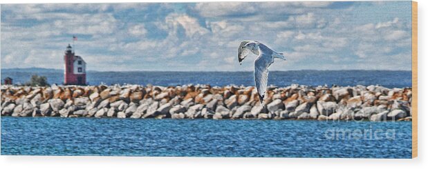 Ring-billed Gull Wood Print featuring the photograph Free Flight by Mark Madere