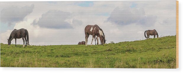 Horses Wood Print featuring the photograph Horses and Clouds by D K Wall