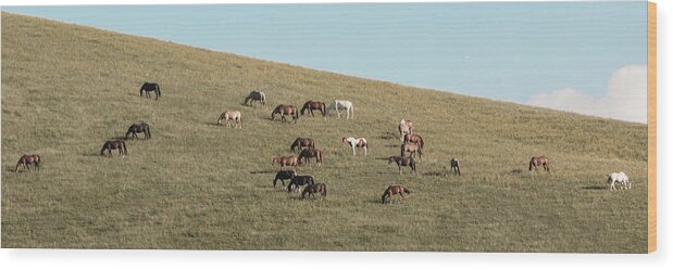 Horses Wood Print featuring the photograph Horses On The Hill by D K Wall