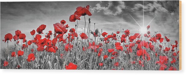 Poppy Wood Print featuring the photograph Idyllic Field of Poppies with Sun - Panorama by Melanie Viola