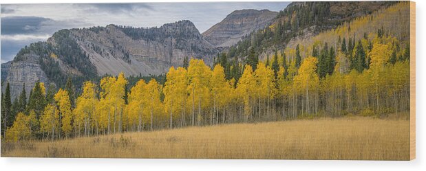 Autumn Wood Print featuring the photograph Mount Timpanogos Meadow in Fall by James Udall