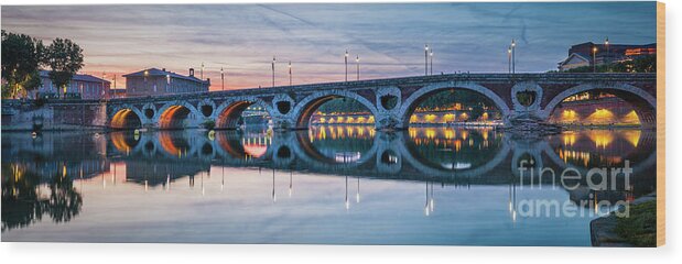 Pont Neuf Wood Print featuring the photograph Panorama of Pont Neuf in Toulouse by Elena Elisseeva