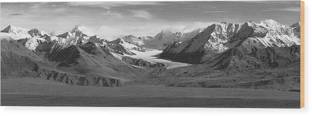 Alaska Wood Print featuring the photograph Paxson Glacier wide by Peter J Sucy