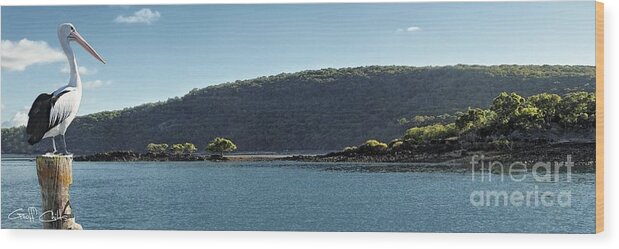 Pelican Wood Print featuring the photograph Pelican Lookout by Geoff Childs