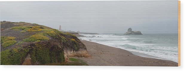 Beach Wood Print featuring the photograph Piedras Blancas Lighthouse by Andreas Freund