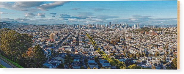 San Francisco Wood Print featuring the photograph San Francisco Skyline from Bernal Heights Park at Sunset - San Francisco California by Silvio Ligutti