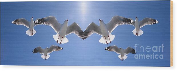 Geoff Childs Wood Print featuring the photograph Six Heavenly Backlit Seagulls Flying Overhead in Blue Sky. by Geoff Childs