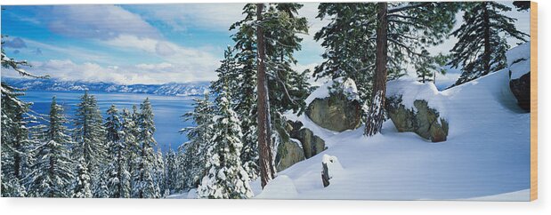 Photography Wood Print featuring the photograph Snow Covered Trees On Mountainside by Panoramic Images