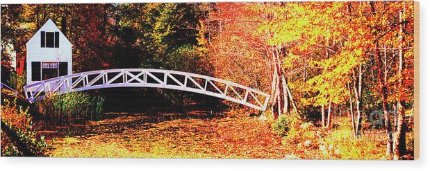 Somessville Wood Print featuring the photograph Somessville foot bridge Mount Desert Island Maine by Tom Jelen
