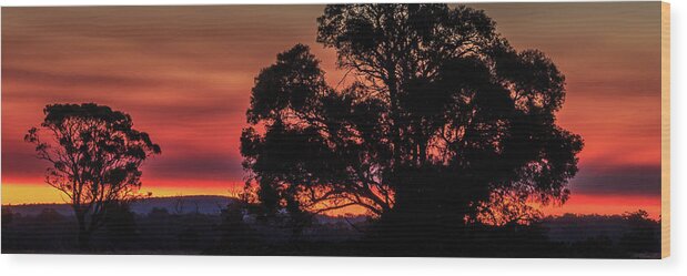 Sky Wood Print featuring the photograph Stirling Range Sunset by Robert Caddy
