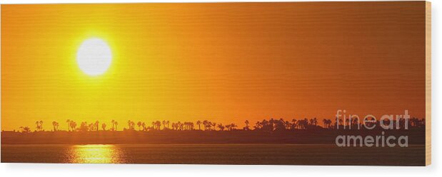 Autumn Wood Print featuring the photograph Sunset Along Line Of Palms by Max Allen