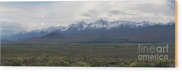 Owens Valley Wood Print featuring the photograph Big Pine California Overlook by Michael Ver Sprill
