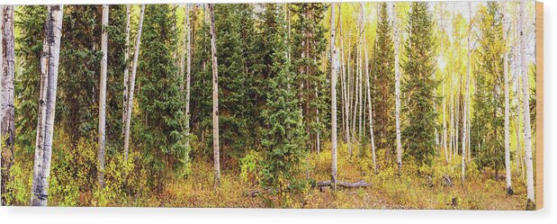 Olena Art Wood Print featuring the photograph Colorado Autumn Wonder Panorama 2 by OLena Art by Lena Owens - OLena Art Vibrant Palette Knife and Graphic Design