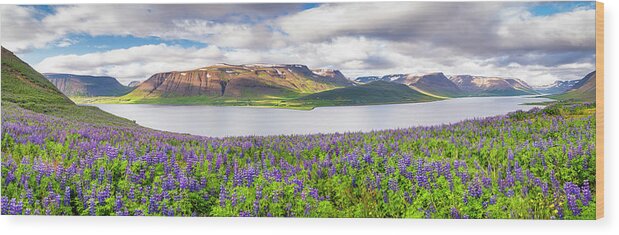 Lupines On A Fjord - Panorama Wood Print featuring the photograph Lupines On A Fjord - Panorama by Michael Blanchette Photography
