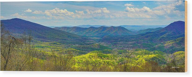 Big Walker Mountain Wood Print featuring the photograph Big Walker Mountain Vista by Dale R Carlson