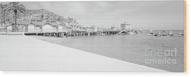 2017 Wood Print featuring the photograph Catalina Island Beach Black and White Panorama Photo by Paul Velgos