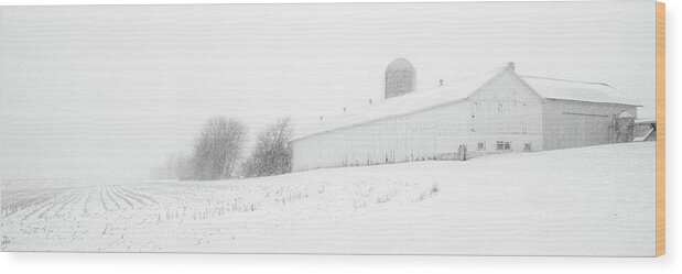 Barn Wood Print featuring the photograph Fade to White - Vanishing point perspective of WI barn in blizzard by Peter Herman