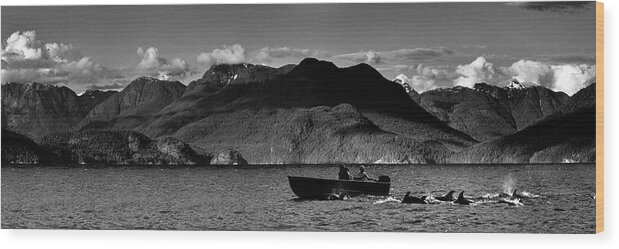 617 Wood Print featuring the photograph Friends Of The Sea - Dolphins In Desolation Sound Canada by Sonny Ryse