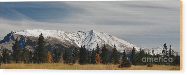 Alberta Wood Print featuring the photograph Grotto Mountain by Wilko van de Kamp Fine Photo Art