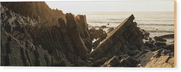 Coast Wood Print featuring the photograph Hartland Quay North Devon south west coast path by Sonny Ryse