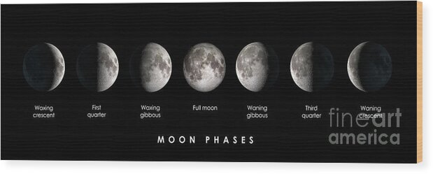 Moon Wood Print featuring the photograph Moon phases by Delphimages Photo Creations