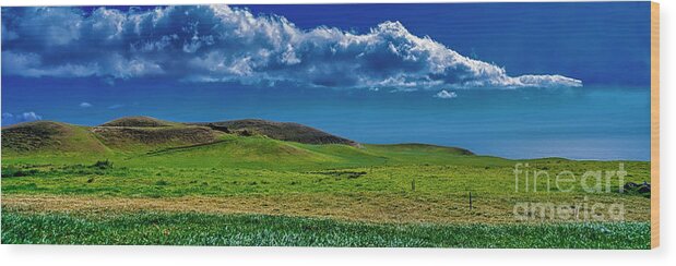 North Wood Print featuring the photograph North Kohala Kawaihae Coast Pastures Big Island Hawaii by Tom Jelen