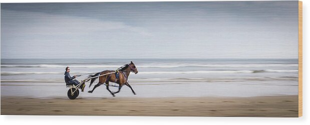 Pony Wood Print featuring the photograph Pony and Trap by Nigel R Bell