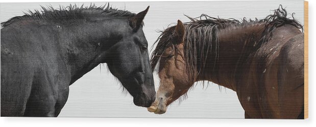 Panorama Wood Print featuring the photograph Rugged and Wild by Mary Hone