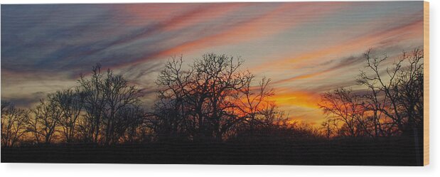 Sunset Wood Print featuring the photograph Setting Sun and Shadow by James Granberry