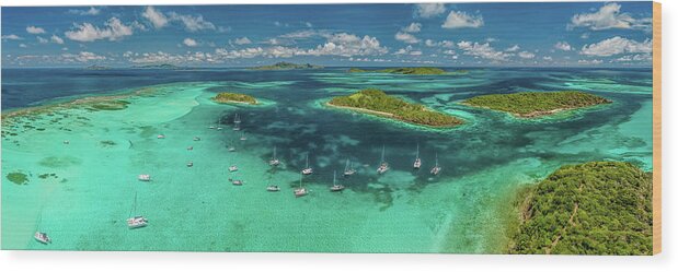 Tobago Cays Wood Print featuring the photograph Tobago Cays by Gary Felton