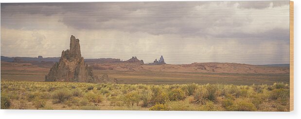 Panoramic Wood Print featuring the photograph USA, Arizona, Church Rock, near Kayenta, rock formations and wild flowers by Timothy Hearsum