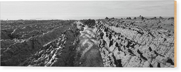 Coast Wood Print featuring the photograph Welcombe Mouth beach North Devon South West Coast Path black and white 4 by Sonny Ryse
