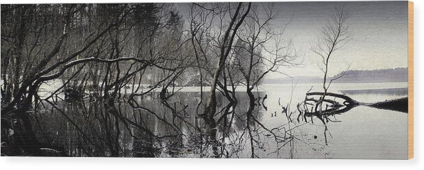 Perfect Wood Print featuring the photograph Winter on Loch Raven Reservoir by Reynaldo Williams