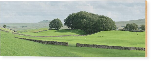 Panorama Wood Print featuring the photograph Yorkshire Dales Wensleydale Fields by Sonny Ryse