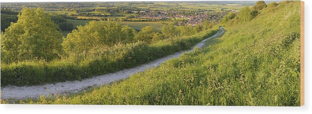 Chalk Wood Print featuring the photograph Chalk Path to Steyning by Hazy Apple