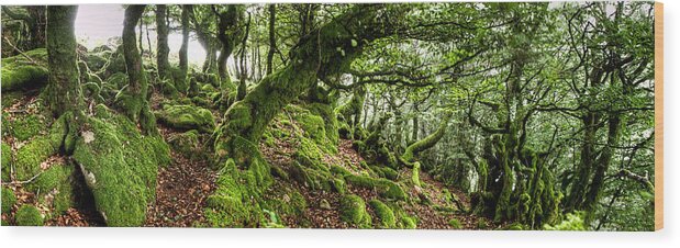 Forest Wood Print featuring the photograph The Elven forest No2 Wide by Weston Westmoreland