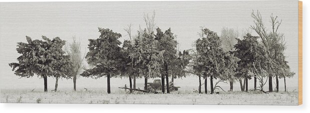 Winter Wood Print featuring the photograph In The Tree Line by Don Durfee