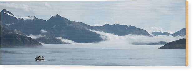 Lamplugh Glacier Wood Print featuring the photograph Lamplugh Glacier 2 by Richard J Cassato