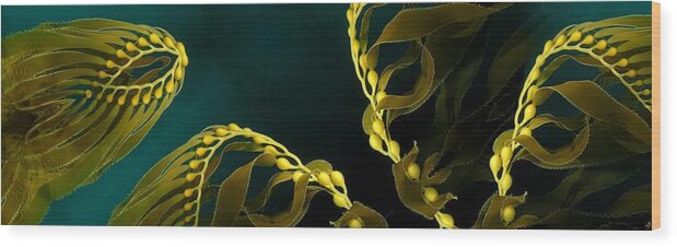 Seaweed Wood Print featuring the digital art Weed 1 by Ronald Bissett