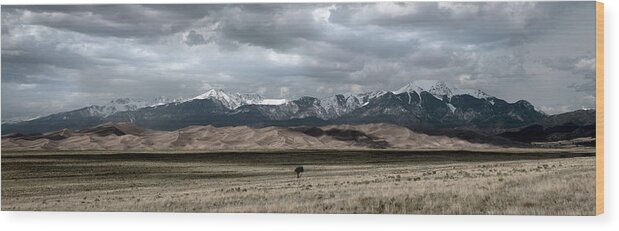 Great Sand Dunes National Park Wood Print featuring the photograph Great Sand Dunes National Park #6 by Dean Ginther