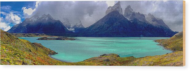 Home Wood Print featuring the photograph Patagonia Glacial Lake by Richard Gehlbach