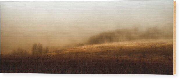 Romance Wood Print featuring the photograph Bleak Autumn by Theresa Tahara