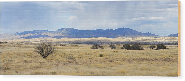 Desert Wood Print featuring the photograph Grassland San Rafael Valley by Alan Lenk